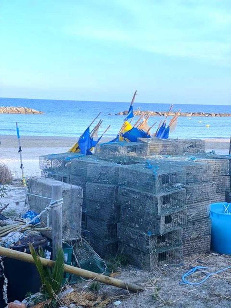 attrezzi-da-pesca-piccola-pesca