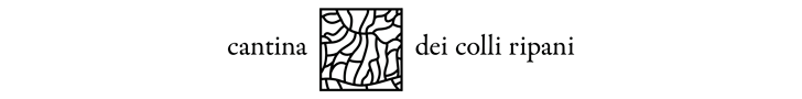 Banner_CCR_728x90
