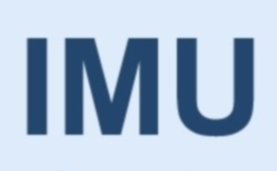 IMU