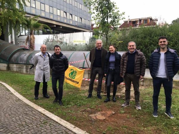 bandiera-verde