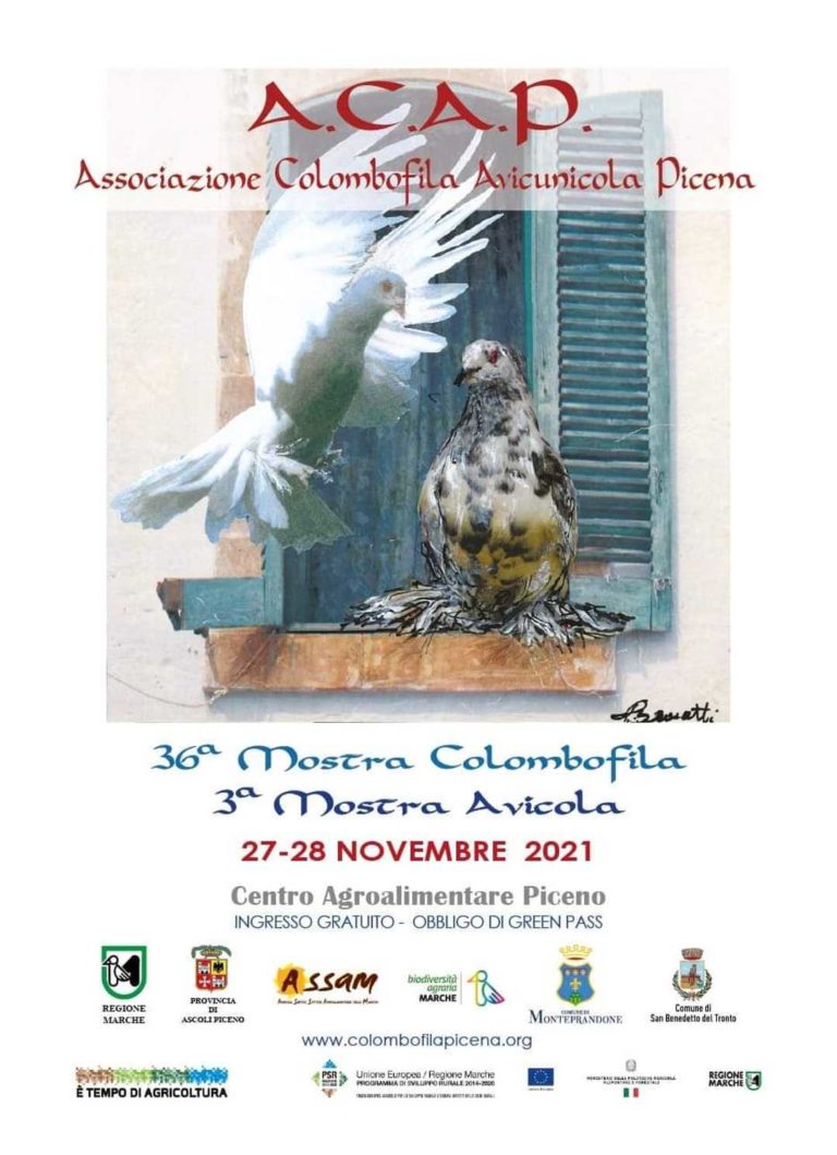 mostra-colombofila