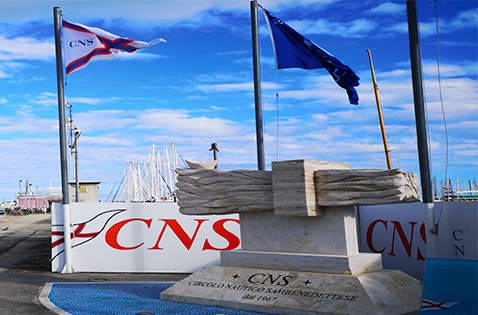 Cns