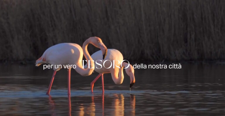 sentina-1