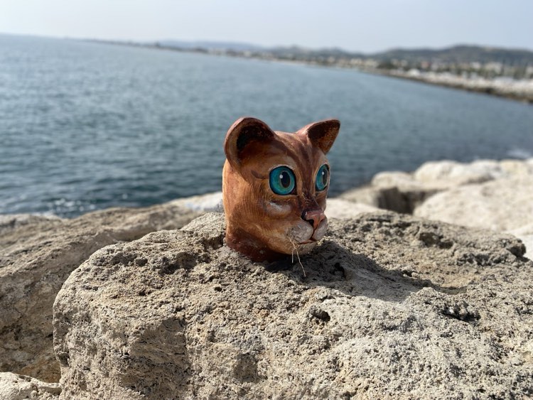 GATTO-456753131_2233091397031698_8398142954526238029_n