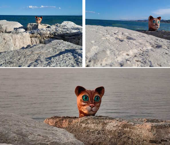 Marlowe-gatto-al-molo-sud