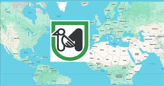internazionalizzazione