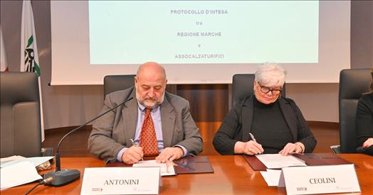 antonini-2