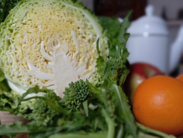 Brassicaceae