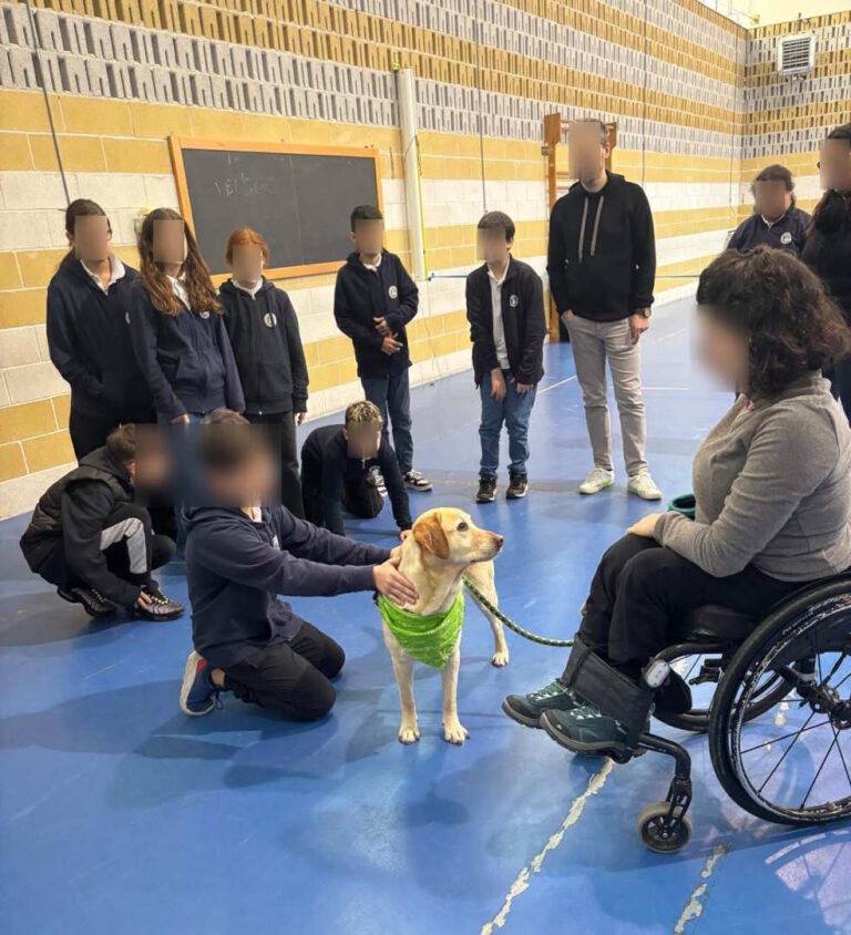 Foto-01