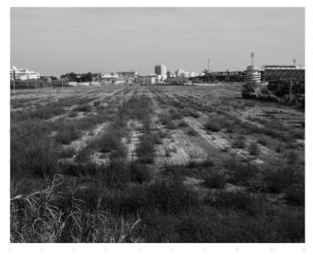 area-Brancadoro