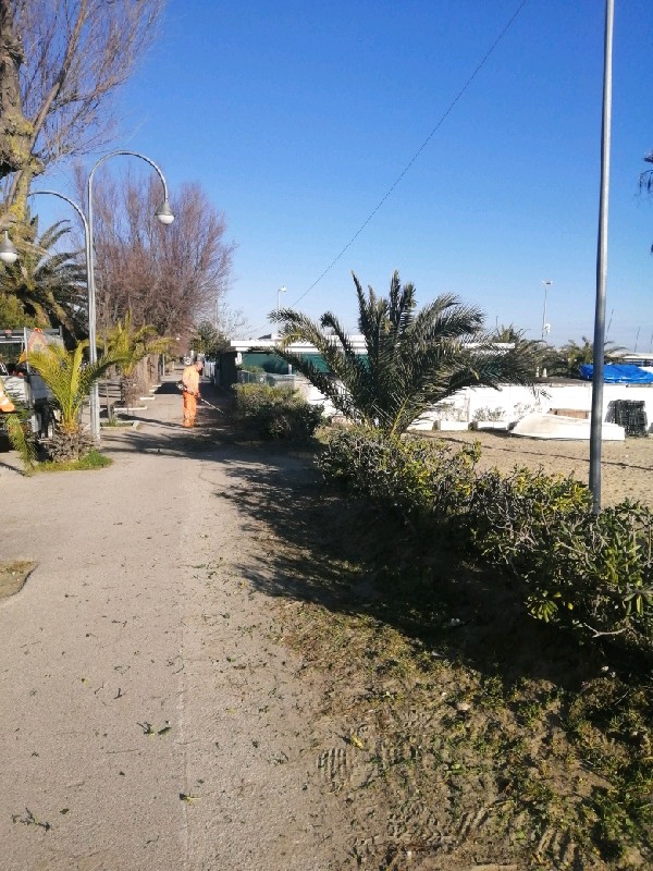 aree-verdi-ex-camping-01