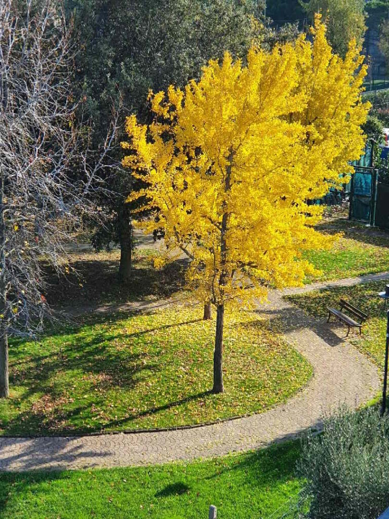 531deb0e-55e0-41a8-8507-4e80f4e73e68