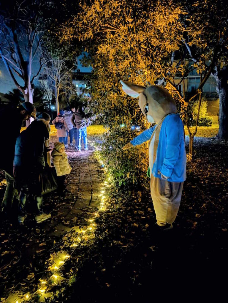 9e6e520d-6da2-407a-8566-2c8e8814d1f1