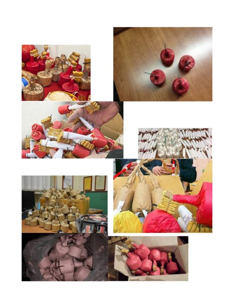 fotografie-di-fuochi-illegali-immagini-1-791x1024-2