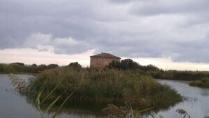 riserva-naturale-sentina-1024x576-1