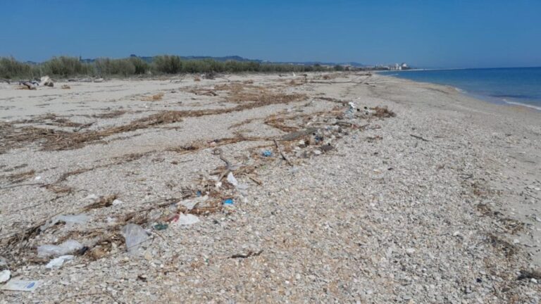 rifiuti-mareggiata-riserva-naturale-sentina-03-1024x576-1