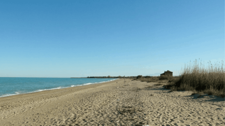 riserva-naturale-sentina-1024x576-1