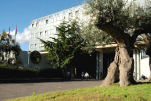 comune-municipio-1024x686-1