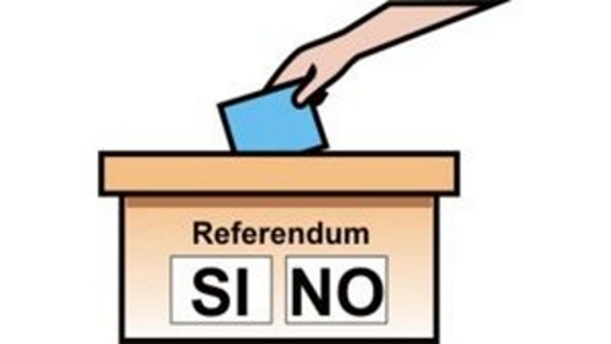 referendum