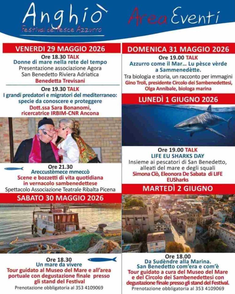 Anghio-6ca824ca-bf49-46d1-913c-81a995f9c8a9