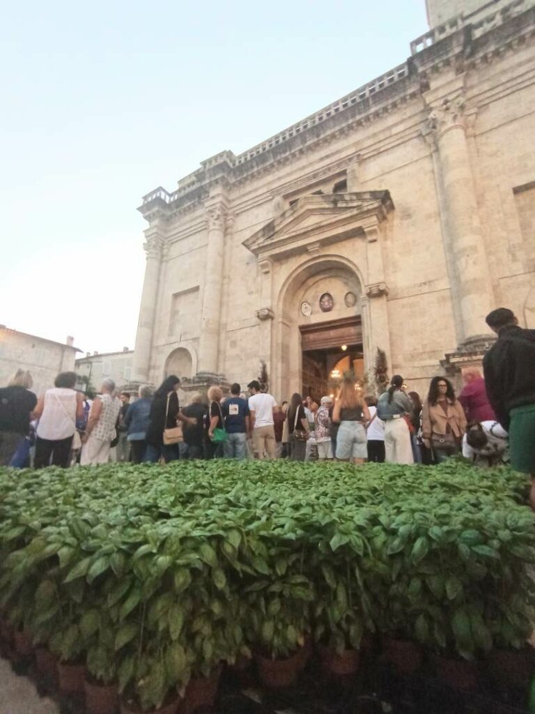 basilico-santemidio-1000370892